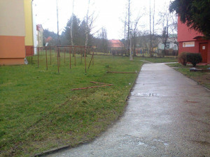 Řidič zlikvidoval všechno, co mu přišlo do cesty