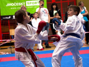 První kolo Krajské ligy pro děti i dospělé v karate v Borovanech