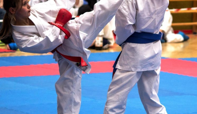 První kolo Krajské ligy pro děti i dospělé v karate v Borovanech