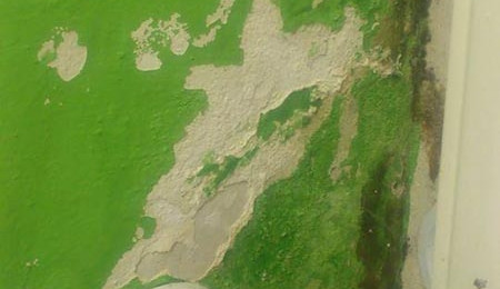 Mateřská škola Lvíček