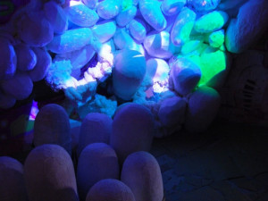 Komůrka, kde se líhnou vajíčka