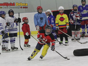Pouzar Hockey Academy