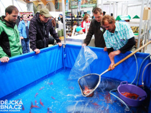 Ke koupi byly i rybky do zahradních jezírek
