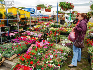 Rozkvetlé květiny lákaly ke koupi