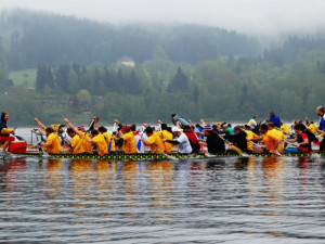 Každý tým závodil jak o život