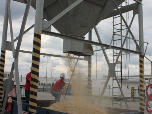 Pracovníci elektrárny při vysypání pilin ze sila