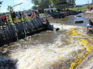 Při benefičním závodě plavalo po Vltavě 1413 kachniček