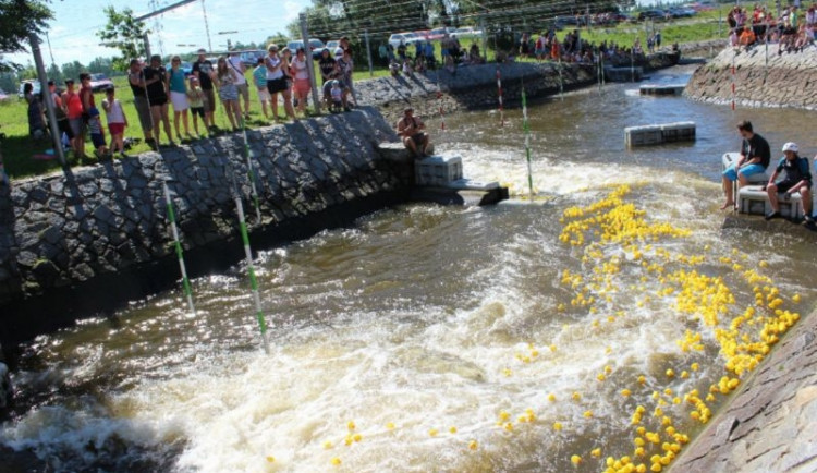 Grand Prix kachničky 2014