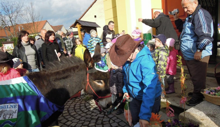 Křest oslíka v Úsilném