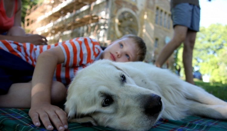 Letní tábor 2013 pořádaný organizací APLA Jižní Čechy
