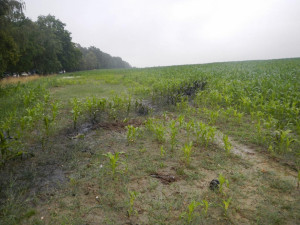 Tragická nehoda Peugeotu 306 u Srubce