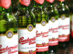 Měšťanský pivovar neuspěl ve sporu o známku Budweiser