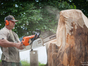 Festival dřevosochání ve Frymburku