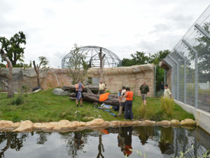 Netradiční podívaná v Zoo Ohrada