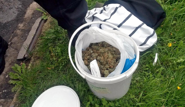 Kýbl plný marihuany