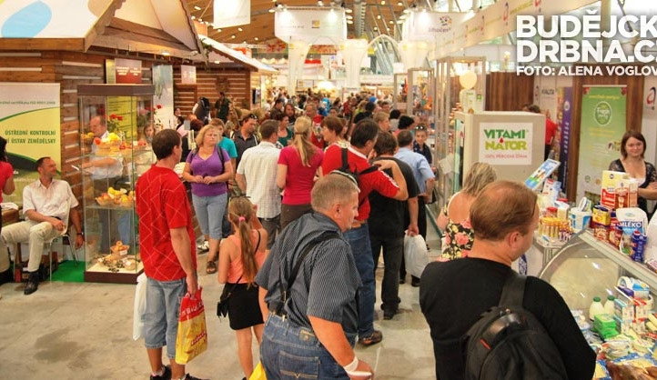 Země živitelka 2013