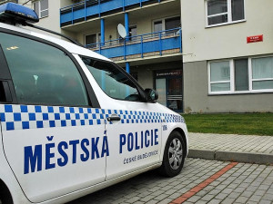 Auto městské policie není taxík, poznal opilý Slovák
