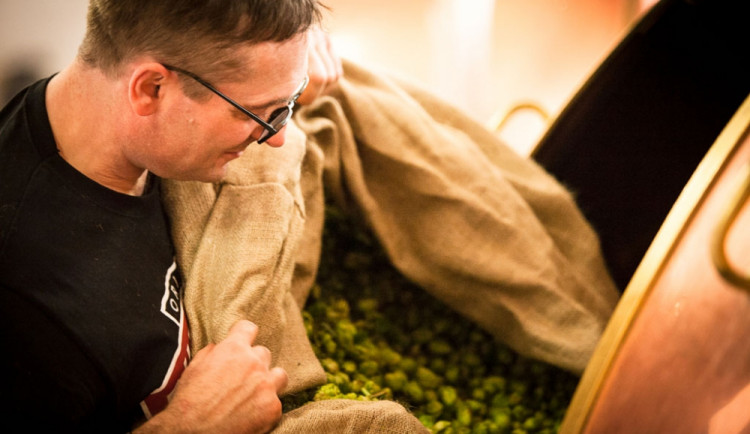 Aleš Dvořák přidává čerstvý chmel do várky B:STRONG