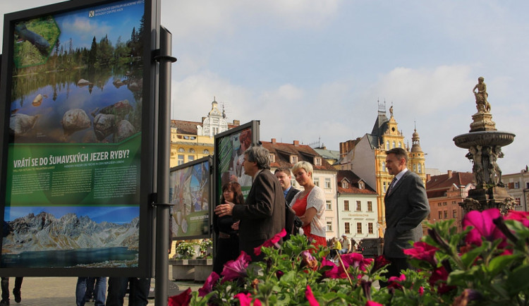 Výstava Biologického centra AV ČR na budějckém náměstí Přemysla Otakara II.