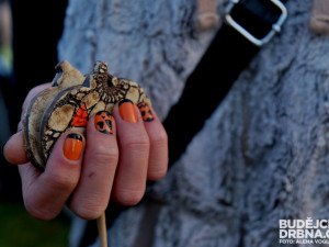 Někteří návštěvníci pojali podzimní událost opravdu stylově