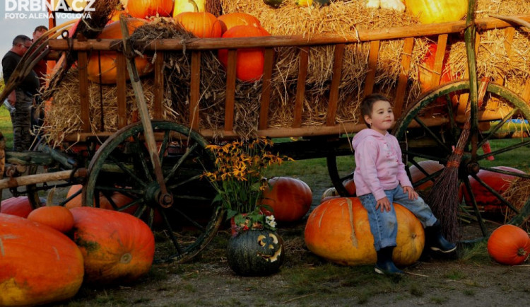 Krásné zátiší na focení