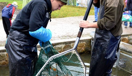 Výlov rybníku Rožmberk