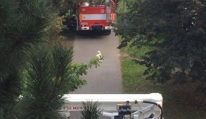 Výjezd - ulice Karla Šafáře