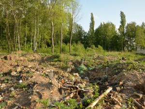 Veřejně přístupný park je pozemkem kovošrotu. A takto to tam vypadá