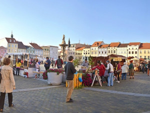 Švestkové trhy na náměstí Přemysla Otakara II.