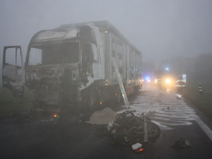 Do kamionu převážejícího selata narazil v Holkově motorkář