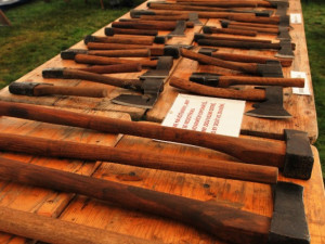 Stačí si vybrat...