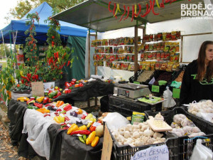 K dostání jsou i semena