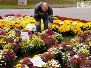 Záplava podzimních barev na Hobby nechybí