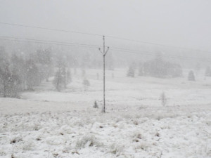 Šumava ve středu po obědě