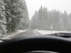 Šumava ve středu po obědě