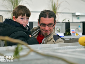 Výstava okrasného ptactva