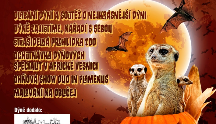 Brněnská ZOO se připravuje na zimu, startuje Halloweenem