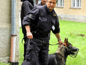 Krajský přebor policejních kynologů v Lišově