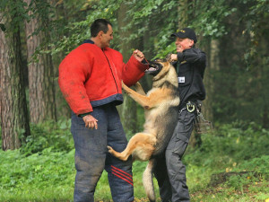Krajský přebor policejních kynologů v Lišově
