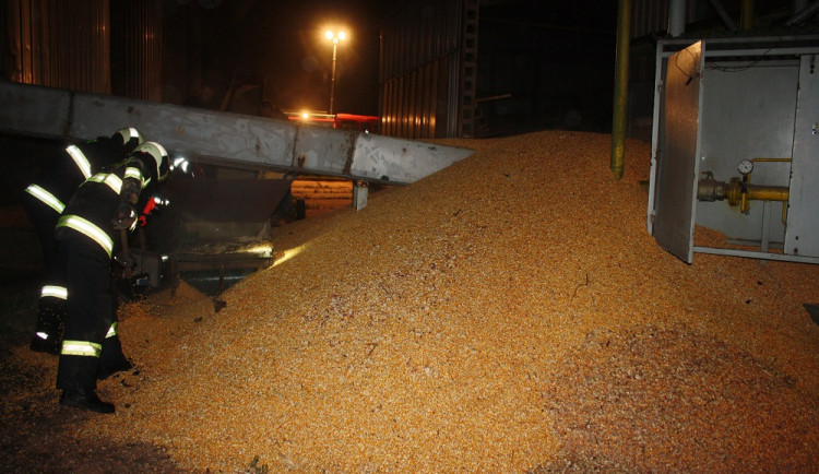 Dvacet pět tun kukuřice bylo vysypáno vedle sušičky