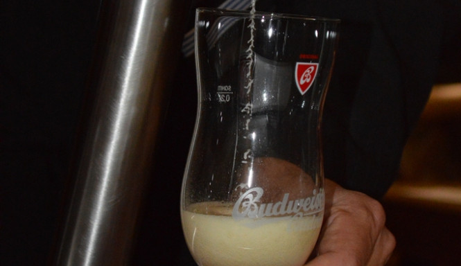 Budweiser Budvar B:Cryo