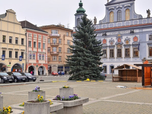 FOTO: Vytáhlý elegán z Nedabyle se usadil na náměstí