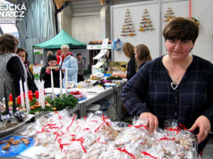 Vedoucí Domova mládeže Střední odborné školy Jaroslava Poláková