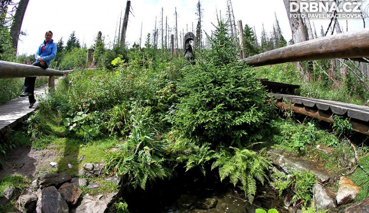 Turisty hojně vyhledávané místo - prameny Vltavy nedaleko Kvildy