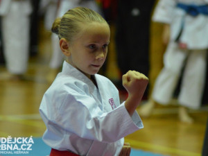 Mistrovství České republiky mládeže v karate v Českých Budějovicích
