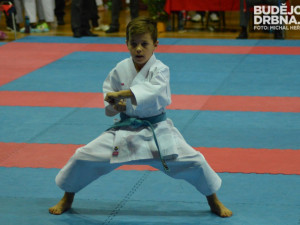 Mistrovství České republiky mládeže v karate v Českých Budějovicích