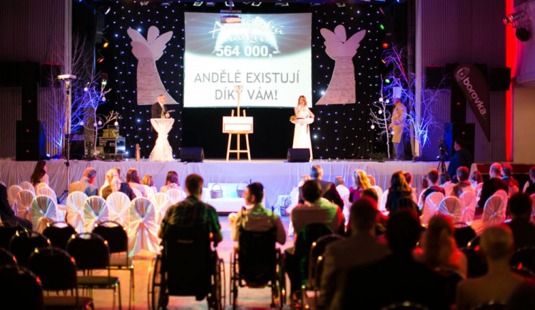 Andělská aukce 2014