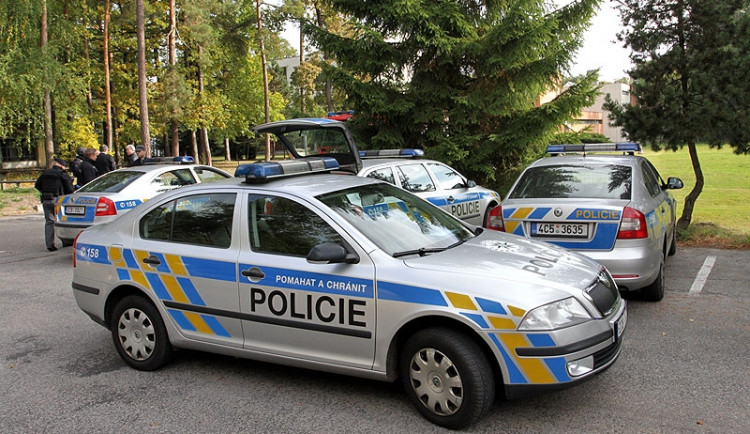 Život dalšího chodce vyhasl v noci u Netolic