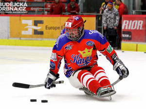 Ukázka tréninku sledge hokeje