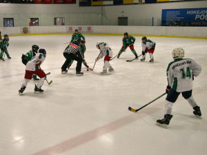 Vánoční turnaj Jaroslava Pouzara